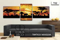 T02 - Africa Paisaje