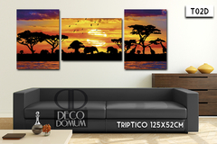 T02 - Africa Paisaje - DECODOMUM