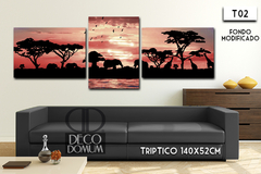 T02 - Africa Paisaje