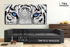 T18 - Tigre mirada - comprar online