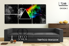 T248 - Pink Floyd - comprar online