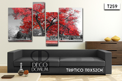 T259 - Arbol rojo