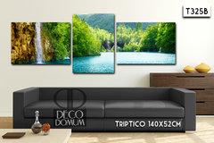 T325 - Paisaje cascada - comprar online