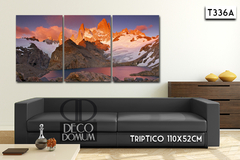 T336 - Patagonia - comprar online