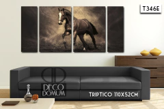 T346 - Caballo - DECODOMUM - Cuadros Decorativos Modernos y Personalizados