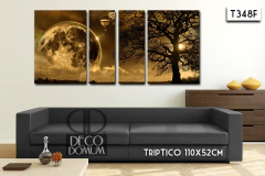 T348 - Paisaje Globos Tierra - DECODOMUM - Cuadros Decorativos Modernos y Personalizados