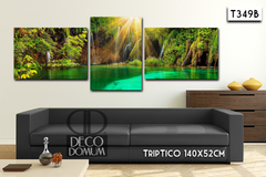 T349 - Naturaleza cascada - comprar online