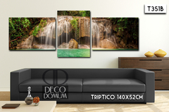 T351 - Naturaleza cascada - comprar online