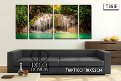 T351 - Naturaleza cascada - DECODOMUM