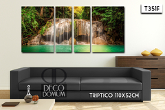 T351 - Naturaleza cascada - tienda online