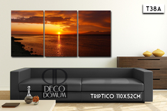 T38 - Atardecer - comprar online