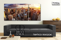 T392 - Panoramica New York - comprar online