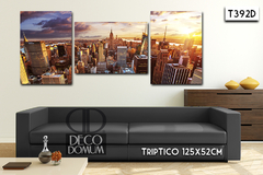 T392 - Panoramica New York - tienda online