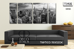 T392 - Panoramica New York