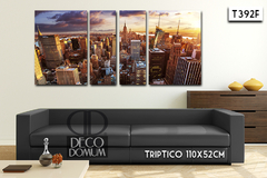 T392 - Panoramica New York - comprar online