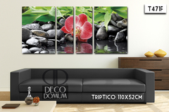 T471 - Piedras Orquidea - tienda online