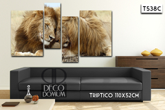 T538 - Leones - comprar online