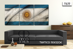 T577 - Bandera Argentina