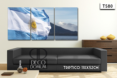 T580 - Bandera Argentina