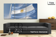 T584 - Bandera Argentina