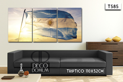 T585 - Bandera Argentina