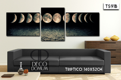 T591 - Fase lunar - comprar online