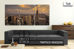 T60 - New York panoramica