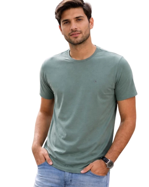 Camiseta masculina básica Ogochi 60212