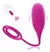 Imagen de Huevo vibrador con mando a distancia
