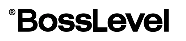 BOSSLEVEL