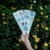 PhotoStrip - comprar online