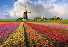 Banner de la categoría Paisajes