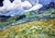 Van Gogh - Campo