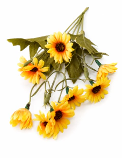 MINI GIRASSOL 5 HASTES - comprar online