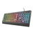 Teclado Gamer LED RGB Ziva Trust en internet