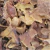 Couro de Pato - comprar online