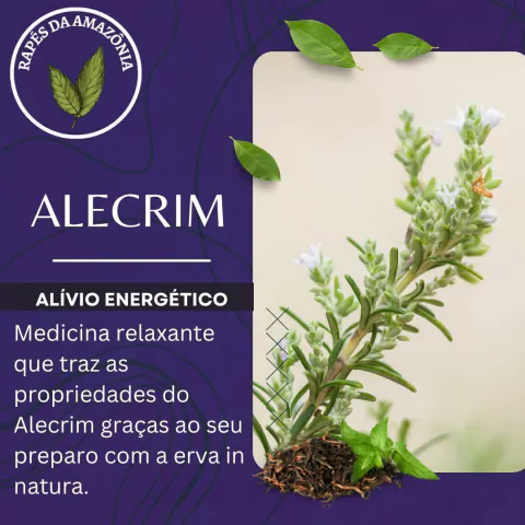 Rapé de Alecrim 20g