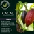 Rapé de Cacau 20g