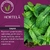Rapé de Hortelã 20g