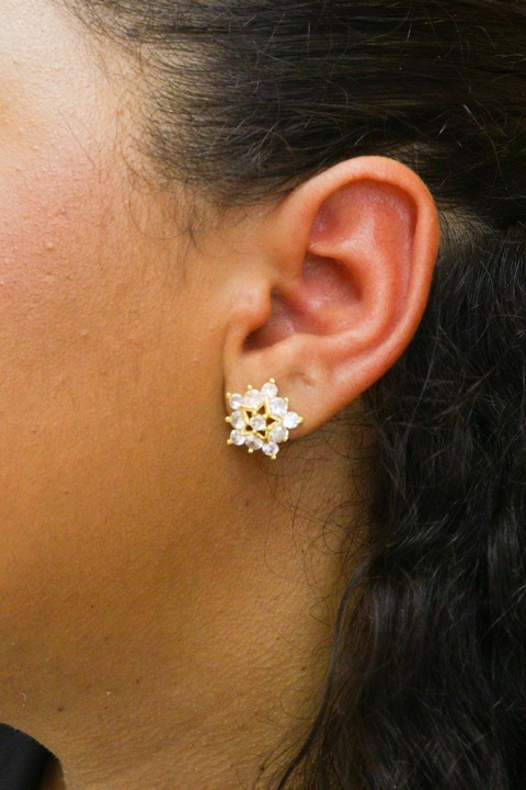Brinco Crystal Flower Semi Joia Banhado 18 k