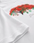Camiseta Flamboyant na internet