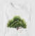 Camiseta Cajueiro