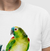 Camiseta Papagaio-Verdadeiro na internet