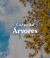 Banner de Muri