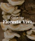 Banner de Muri