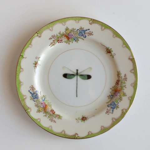 PRATINHO FLORES E LIBÉLULA - comprar online