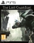 THE LAST GUARDIAN PS5