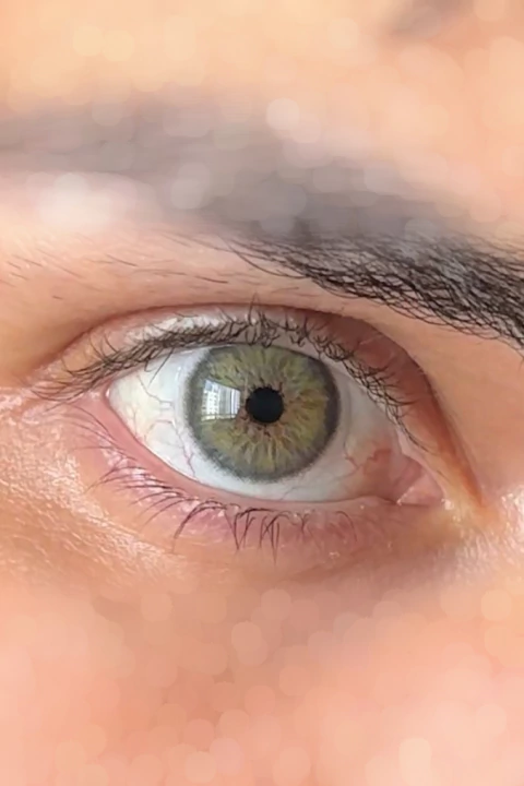 Lente de contato verde natural anual pupila reduzida urban layer breeze gray