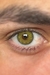 Gem Brown Lente de contato verde oliva natural anual