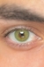 Urban Layer Cloud Green Lente verde Anual